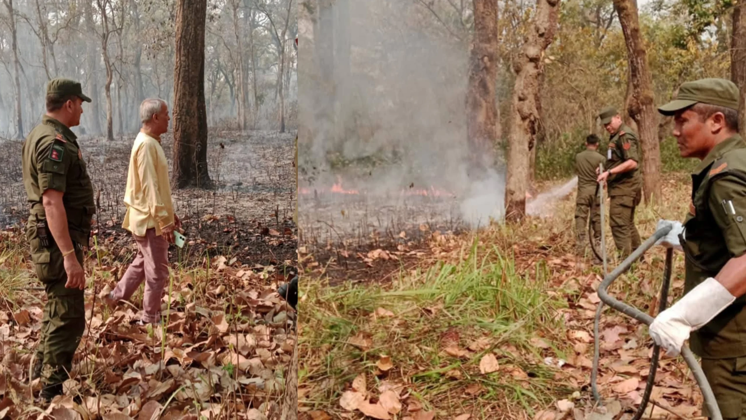 रत्ननगरका उपमेयर पाठकको सक्रियतामा डढेलो नियन्त्रण